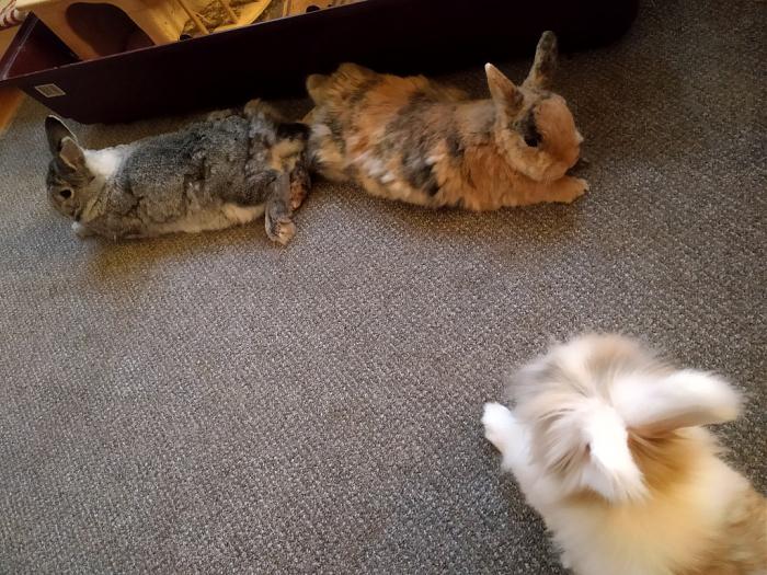 Klicke auf die Grafik fr eine grere Ansicht

Name:	IMG_20180908_194324_538~01.jpg
Hits:	0
Gre:	83,5 KB
ID:	169070