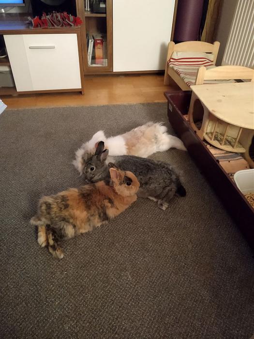 Klicke auf die Grafik fr eine grere Ansicht

Name:	IMG_20180912_200850_332.jpg
Hits:	1
Gre:	40,2 KB
ID:	169071