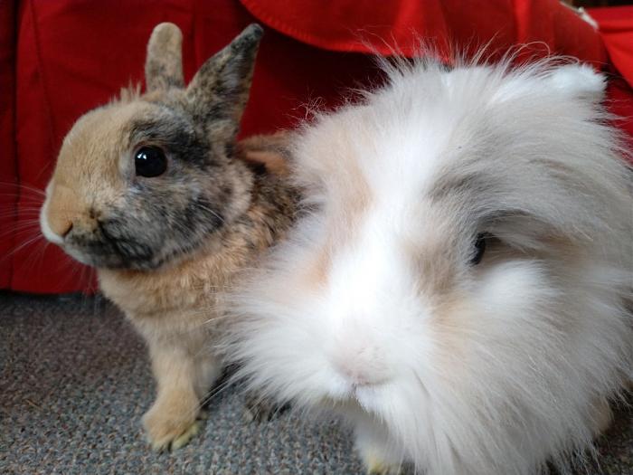 Klicke auf die Grafik fr eine grere Ansicht

Name:	IMG_20180914_155254_744~01.jpg
Hits:	0
Gre:	53,4 KB
ID:	169072