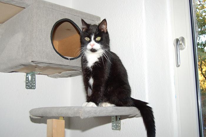 Klicke auf die Grafik fr eine grere Ansicht

Name:	Dodger nach OP.jpg
Hits:	1
Gre:	44,1 KB
ID:	169890