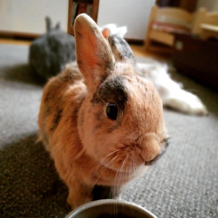 Klicke auf die Grafik fr eine grere Ansicht

Name:	IMG_20180922_072803_407.jpg
Hits:	0
Gre:	36,5 KB
ID:	170230