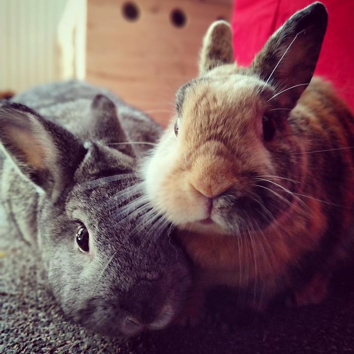 Klicke auf die Grafik fr eine grere Ansicht

Name:	IMG_20180930_131728_849.jpg
Hits:	0
Gre:	44,6 KB
ID:	170231