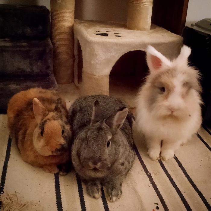 Klicke auf die Grafik fr eine grere Ansicht

Name:	IMG_20181005_005251_189.jpg
Hits:	0
Gre:	42,3 KB
ID:	170232