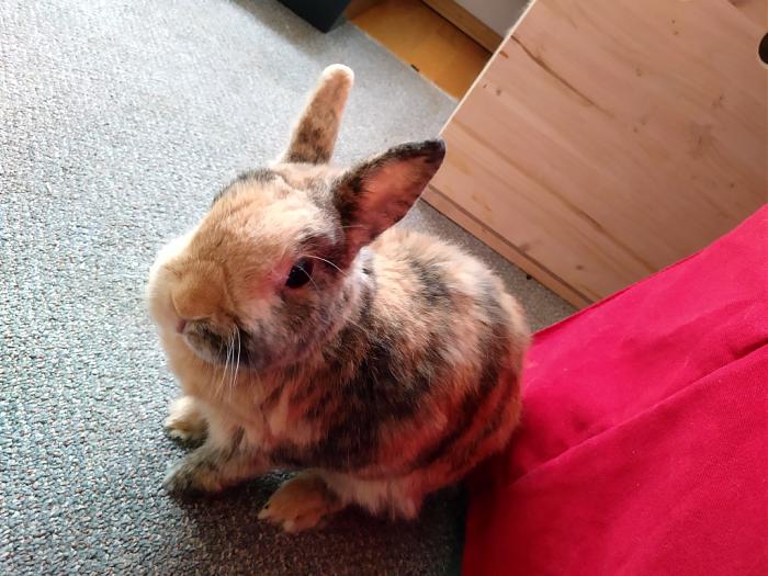 Klicke auf die Grafik fr eine grere Ansicht

Name:	IMG_20181006_162304_171-01~01.jpg
Hits:	0
Gre:	66,5 KB
ID:	170236