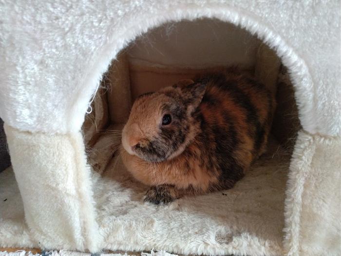 Klicke auf die Grafik fr eine grere Ansicht

Name:	MVIMG_20181002_105430_960-01~01.jpg
Hits:	1
Gre:	55,9 KB
ID:	170237