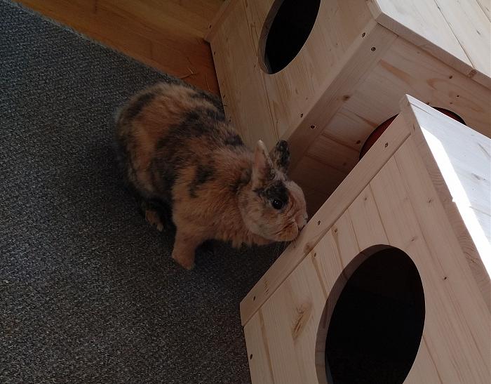 Klicke auf die Grafik fr eine grere Ansicht

Name:	MVIMG_20181117_120325_342~01.jpg
Hits:	0
Gre:	56,8 KB
ID:	171585