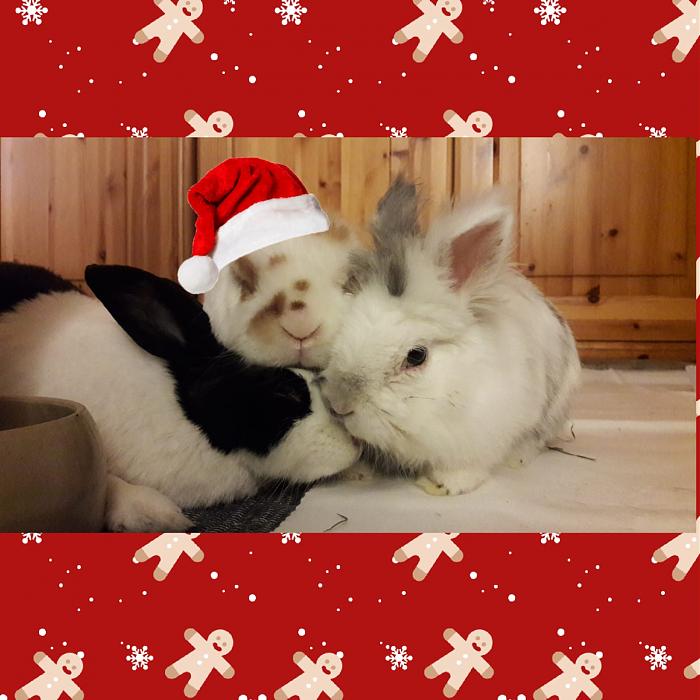 Klicke auf die Grafik fr eine grere Ansicht

Name:	IMG-20181216-WA0018.jpg
Hits:	0
Gre:	41,6 KB
ID:	171619