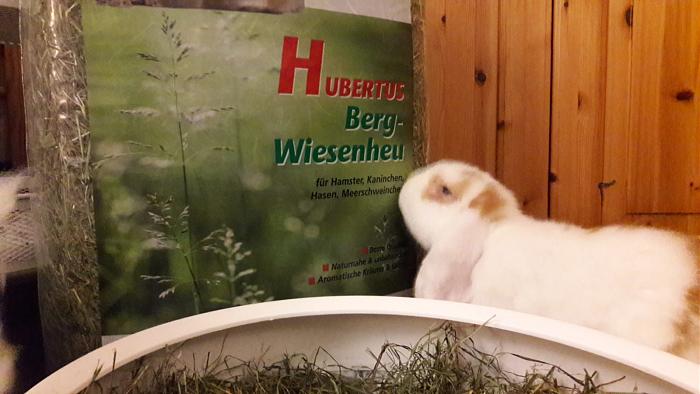 Klicke auf die Grafik fr eine grere Ansicht

Name:	IMG-20190203-WA0000.jpg
Hits:	1
Gre:	45,1 KB
ID:	172745