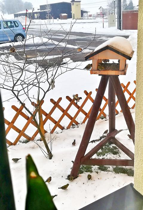 Klicke auf die Grafik fr eine grere Ansicht

Name:	IMG_20190205_115528-01.jpg
Hits:	0
Gre:	57,9 KB
ID:	172788