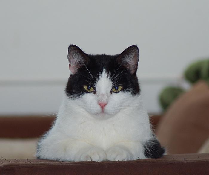 Klicke auf die Grafik fr eine grere Ansicht

Name:	Frodo im Office.jpg
Hits:	0
Gre:	25,0 KB
ID:	173082