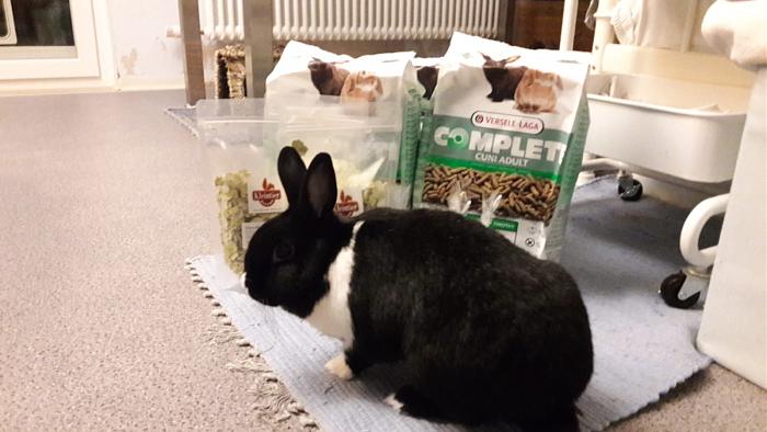 Klicke auf die Grafik fr eine grere Ansicht

Name:	IMG-20190214-WA0000.jpg
Hits:	0
Gre:	46,4 KB
ID:	173164