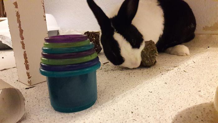 Klicke auf die Grafik fr eine grere Ansicht

Name:	IMG-20190224-WA0007.jpg
Hits:	0
Gre:	42,9 KB
ID:	173347