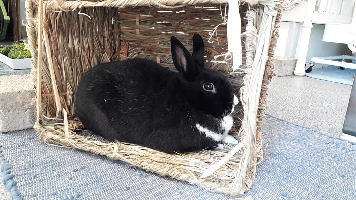 Klicke auf die Grafik fr eine grere Ansicht

Name:	IMG-20190224-WA0013.jpg
Hits:	2
Gre:	78,5 KB
ID:	173349