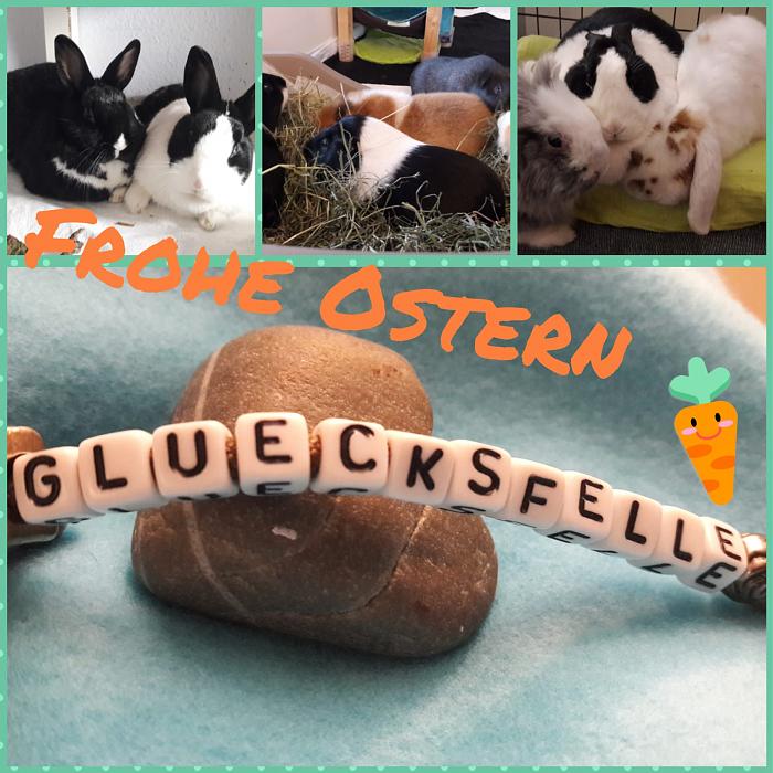 Klicke auf die Grafik fr eine grere Ansicht

Name:	IMG-20190420-WA0006.jpg
Hits:	0
Gre:	226,1 KB
ID:	174630