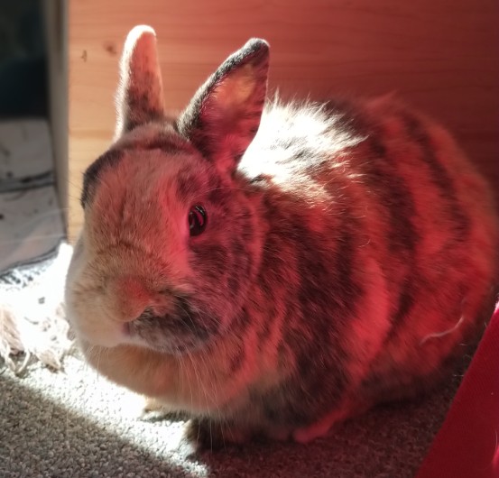 Klicke auf die Grafik fr eine grere Ansicht

Name:	IMG_20190415_095136_676~01.jpg
Hits:	133
Gre:	61,8 KB
ID:	174633