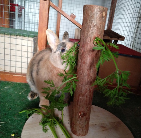 Klicke auf die Grafik fr eine grere Ansicht

Name:	IMG_20190103_100943_278~01.jpg
Hits:	135
Gre:	103,2 KB
ID:	174634