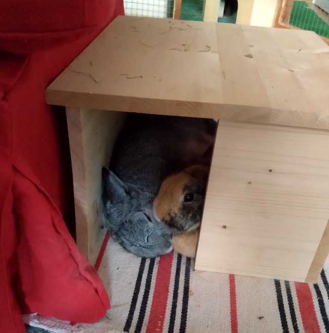 Klicke auf die Grafik fr eine grere Ansicht

Name:	IMG_20190127_154631_812~01.jpg
Hits:	135
Gre:	84,2 KB
ID:	174635