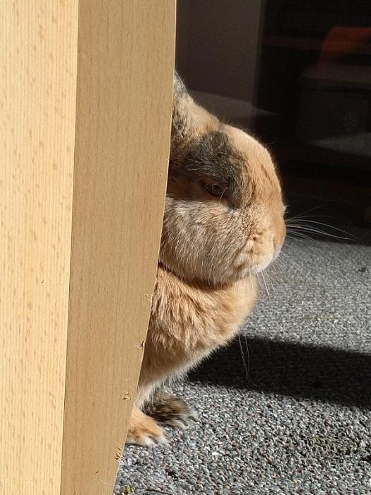 Klicke auf die Grafik fr eine grere Ansicht

Name:	IMG_20190330_101941_136~01.jpg
Hits:	0
Gre:	139,5 KB
ID:	174637