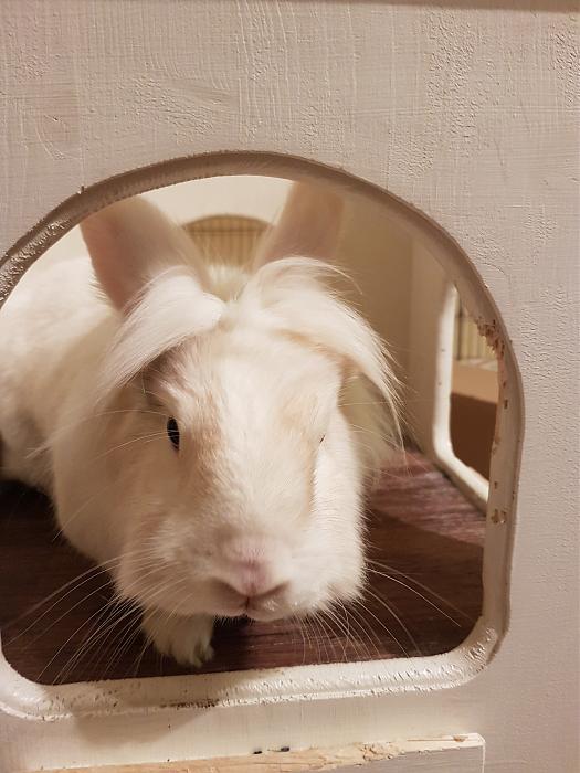 Klicke auf die Grafik fr eine grere Ansicht

Name:	20190515_200635s.jpg
Hits:	0
Gre:	253,9 KB
ID:	175226