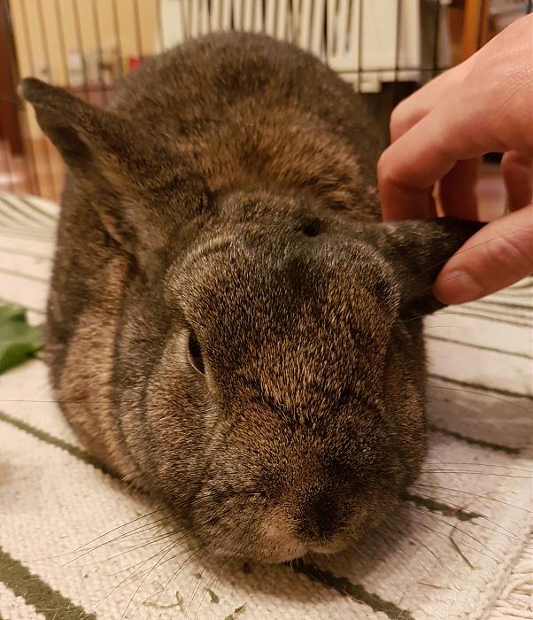 Klicke auf die Grafik fr eine grere Ansicht

Name:	20190515_200912-2s.jpg
Hits:	0
Gre:	307,6 KB
ID:	175230