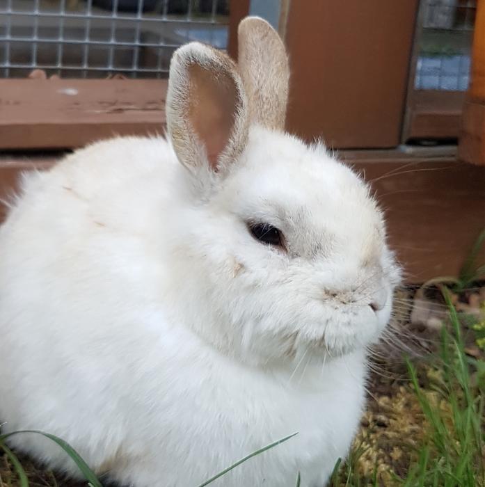 Klicke auf die Grafik fr eine grere Ansicht

Name:	20190515_201555s.jpg
Hits:	0
Gre:	197,7 KB
ID:	175232