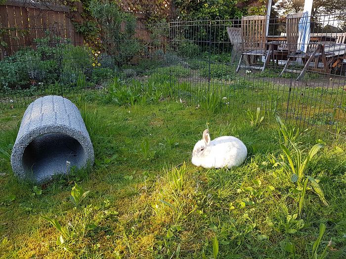 Klicke auf die Grafik fr eine grere Ansicht

Name:	20190507_192422s.jpg
Hits:	0
Gre:	346,4 KB
ID:	175369