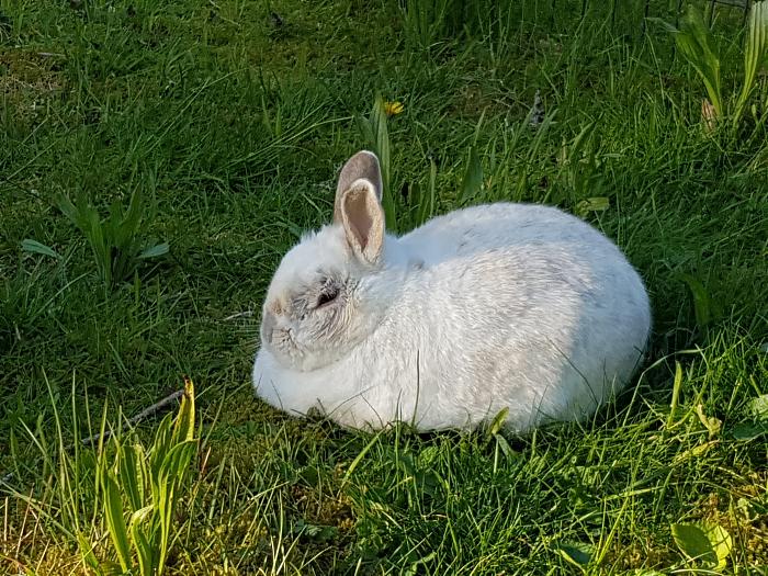 Klicke auf die Grafik fr eine grere Ansicht

Name:	20190507_192437s.jpg
Hits:	0
Gre:	374,5 KB
ID:	175370