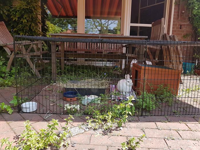 Klicke auf die Grafik fr eine grere Ansicht

Name:	20190520_123459s.jpg
Hits:	0
Gre:	353,6 KB
ID:	175371