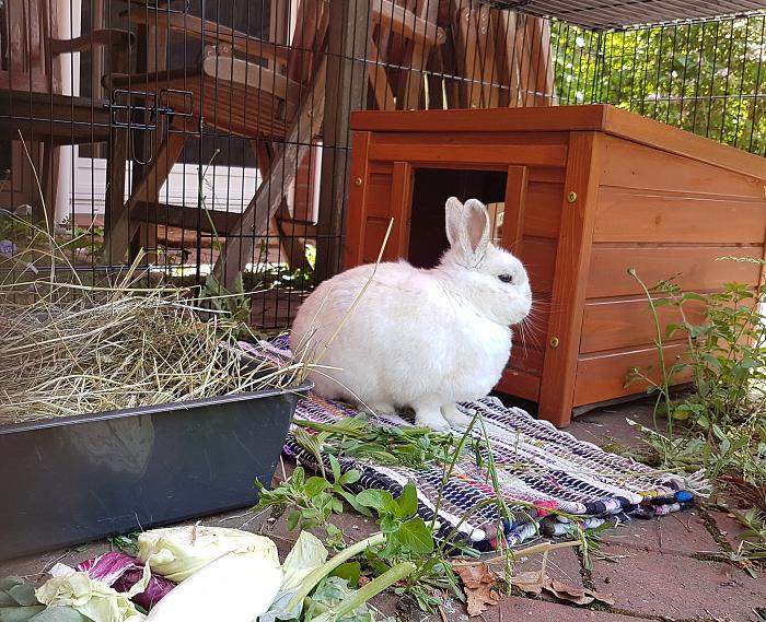 Klicke auf die Grafik für eine größere Ansicht
Name:	20190520_123525s.jpg
Hits:	0
Größe:	357,1 KB
ID:	175372