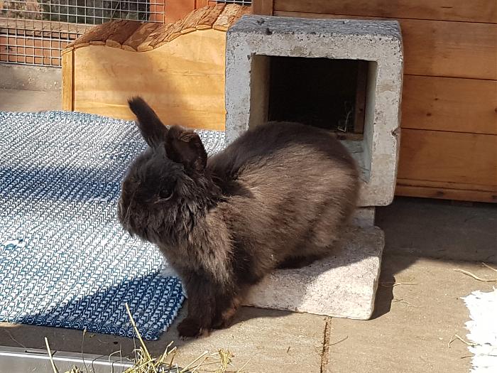 Klicke auf die Grafik fr eine grere Ansicht

Name:	20190524_102133s.jpg
Hits:	0
Gre:	355,3 KB
ID:	175383