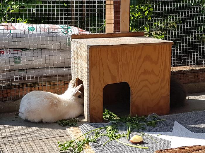 Klicke auf die Grafik fr eine grere Ansicht

Name:	20190524_102317s.jpg
Hits:	0
Gre:	366,4 KB
ID:	175384