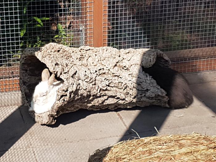 Klicke auf die Grafik für eine größere Ansicht
Name:	20190524_102546s.jpg
Hits:	2
Größe:	359,5 KB
ID:	175385