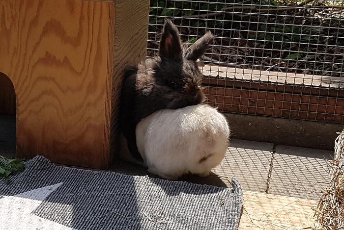 Klicke auf die Grafik fr eine grere Ansicht

Name:	20190524_122137s.jpg
Hits:	0
Gre:	361,9 KB
ID:	175391