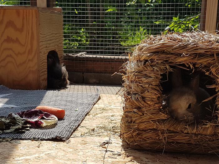 Klicke auf die Grafik fr eine grere Ansicht

Name:	20190524_122532s.jpg
Hits:	0
Gre:	364,6 KB
ID:	175392