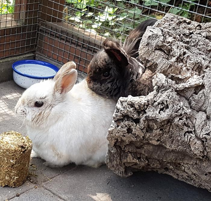 Klicke auf die Grafik fr eine grere Ansicht

Name:	20190524_134208s.jpg
Hits:	0
Gre:	359,8 KB
ID:	175393