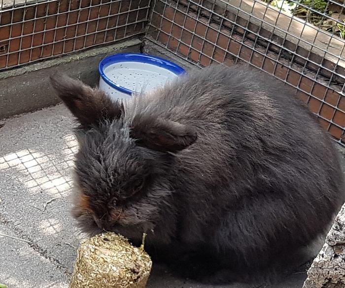 Klicke auf die Grafik fr eine grere Ansicht

Name:	20190524_134215s.jpg
Hits:	0
Gre:	345,9 KB
ID:	175394