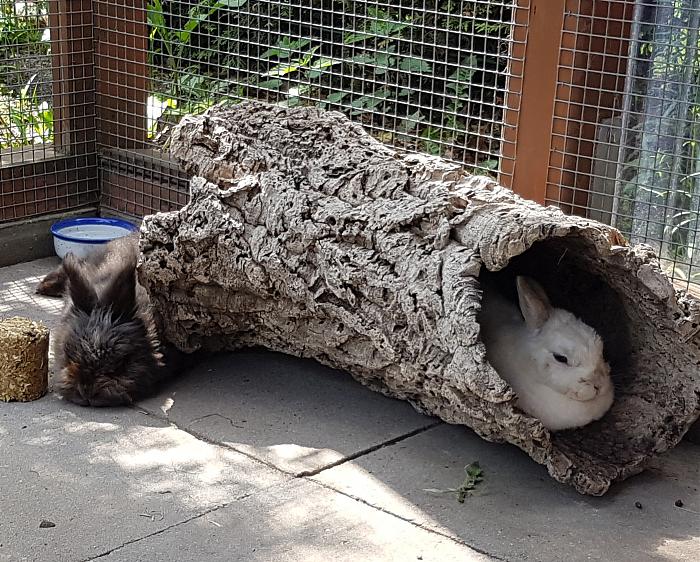 Klicke auf die Grafik fr eine grere Ansicht

Name:	20190524_134324s.jpg
Hits:	1
Gre:	373,7 KB
ID:	175395