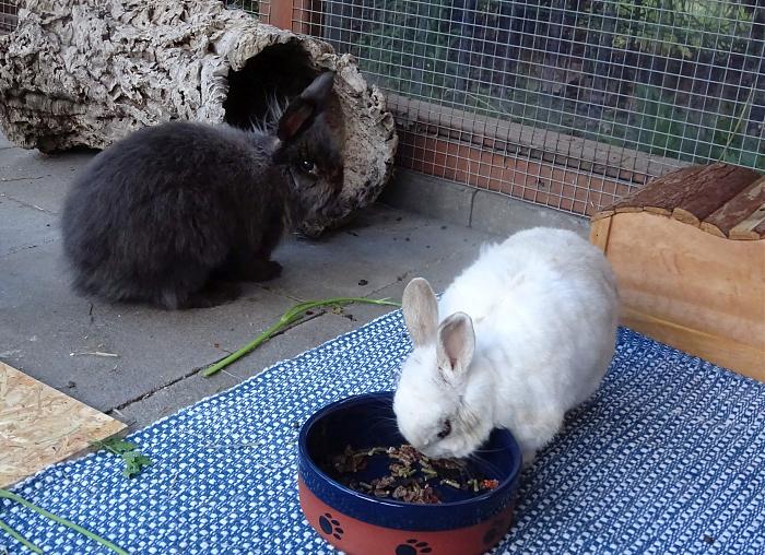 Klicke auf die Grafik fr eine grere Ansicht

Name:	DSC02884s.jpg
Hits:	0
Gre:	347,0 KB
ID:	175398