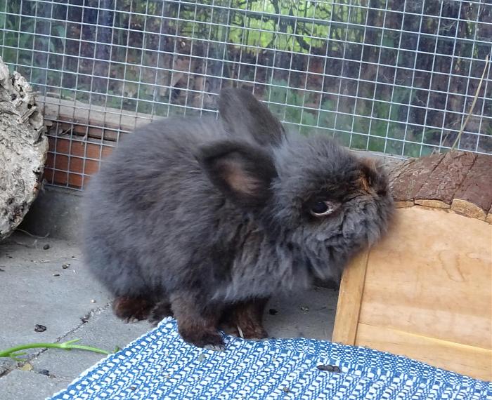 Klicke auf die Grafik fr eine grere Ansicht

Name:	DSC02899s.jpg
Hits:	0
Gre:	317,8 KB
ID:	175399