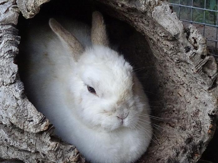 Klicke auf die Grafik fr eine grere Ansicht

Name:	DSC02911s.jpg
Hits:	0
Gre:	315,2 KB
ID:	175401