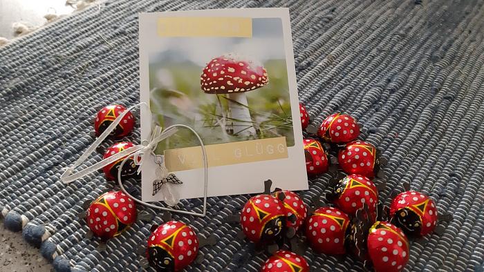 Klicke auf die Grafik fr eine grere Ansicht

Name:	IMG-20190714-WA0001.jpg
Hits:	0
Gre:	250,4 KB
ID:	176459