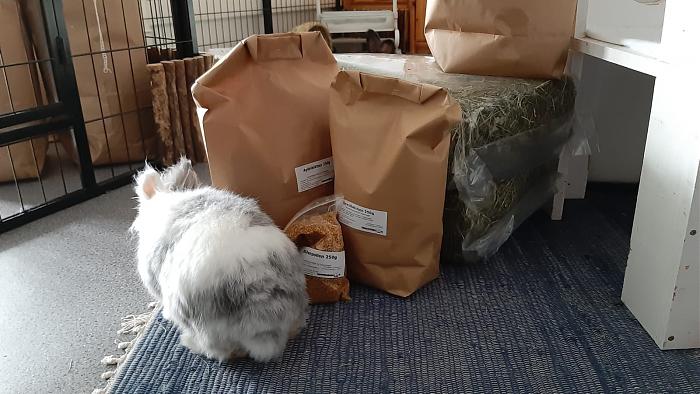 Klicke auf die Grafik fr eine grere Ansicht

Name:	IMG-20190714-WA0006.jpg
Hits:	0
Gre:	180,1 KB
ID:	176460