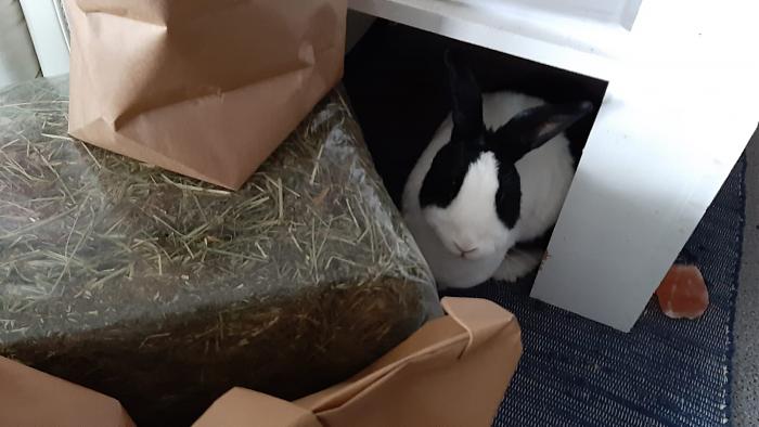 Klicke auf die Grafik fr eine grere Ansicht

Name:	IMG-20190714-WA0007.jpg
Hits:	0
Gre:	103,1 KB
ID:	176461