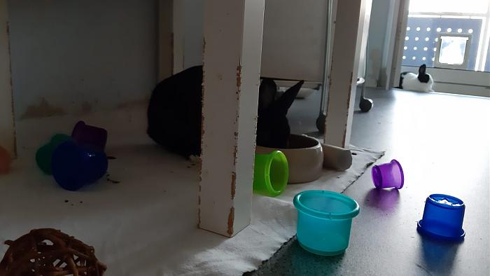 Klicke auf die Grafik fr eine grere Ansicht

Name:	IMG-20190706-WA0009.jpg
Hits:	0
Gre:	76,2 KB
ID:	176468