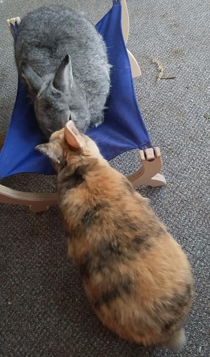 Klicke auf die Grafik fr eine grere Ansicht

Name:	IMG_20190629_094610_339~01~01.jpg
Hits:	0
Gre:	196,2 KB
ID:	176969