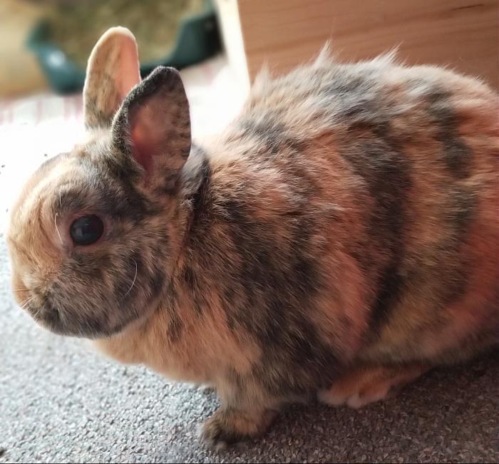 Klicke auf die Grafik fr eine grere Ansicht

Name:	IMG_20190427_132716_549~01~01.jpg
Hits:	0
Gre:	210,5 KB
ID:	176980