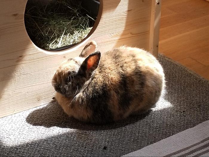 Klicke auf die Grafik fr eine grere Ansicht

Name:	IMG_20190503_124217_607~01~01.jpg
Hits:	0
Gre:	228,9 KB
ID:	176985