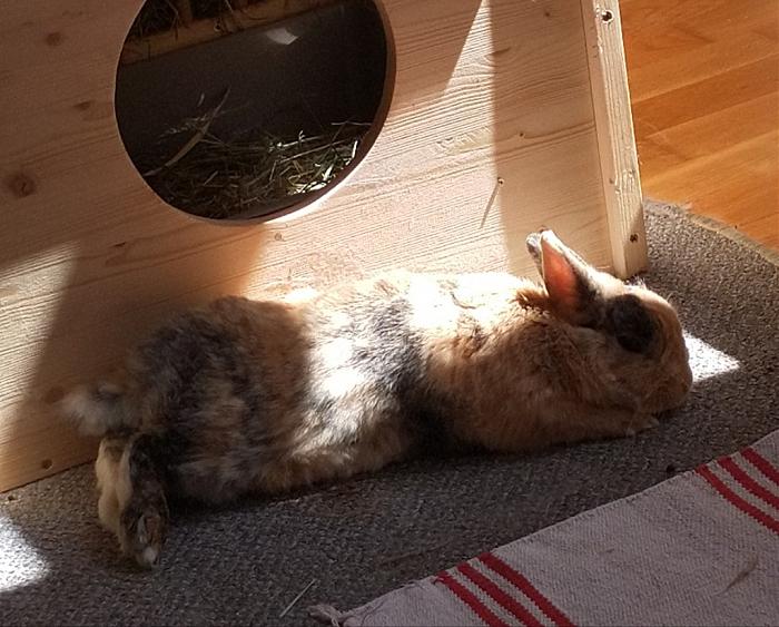 Klicke auf die Grafik fr eine grere Ansicht

Name:	IMG_20190512_124141_877~01~01.jpg
Hits:	1
Gre:	193,1 KB
ID:	176990