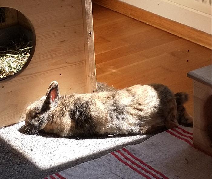 Klicke auf die Grafik fr eine grere Ansicht

Name:	IMG_20190519_123105_345~01~01.jpg
Hits:	0
Gre:	198,3 KB
ID:	176991