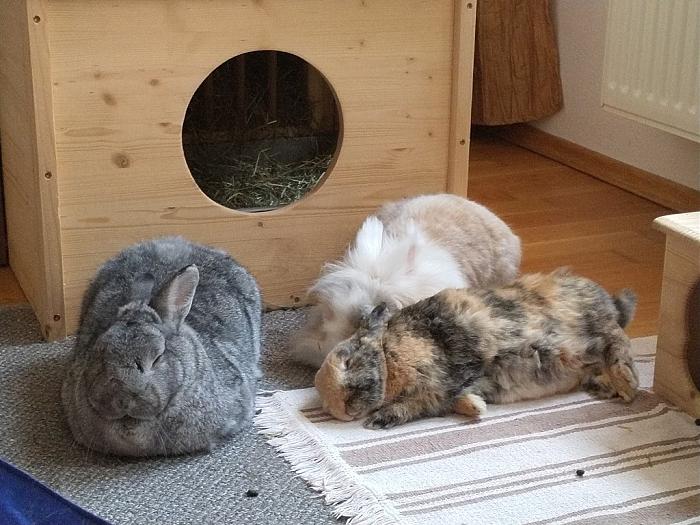 Klicke auf die Grafik fr eine grere Ansicht

Name:	IMG_20190608_182944_333~01.jpg
Hits:	1
Gre:	227,6 KB
ID:	176996